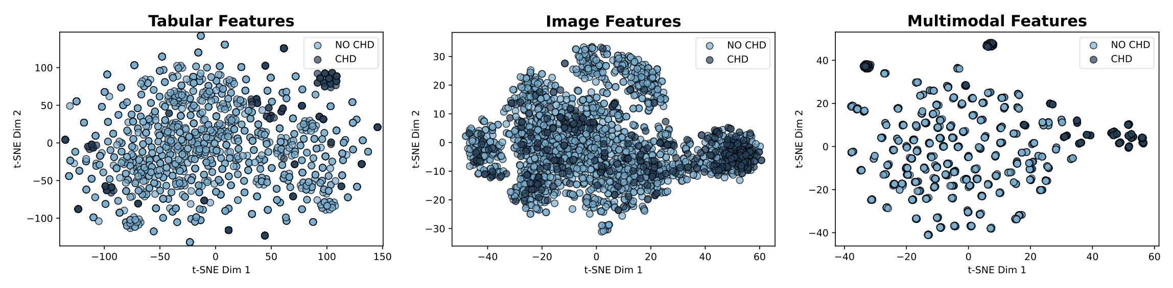 CARDIUM Dataset Features