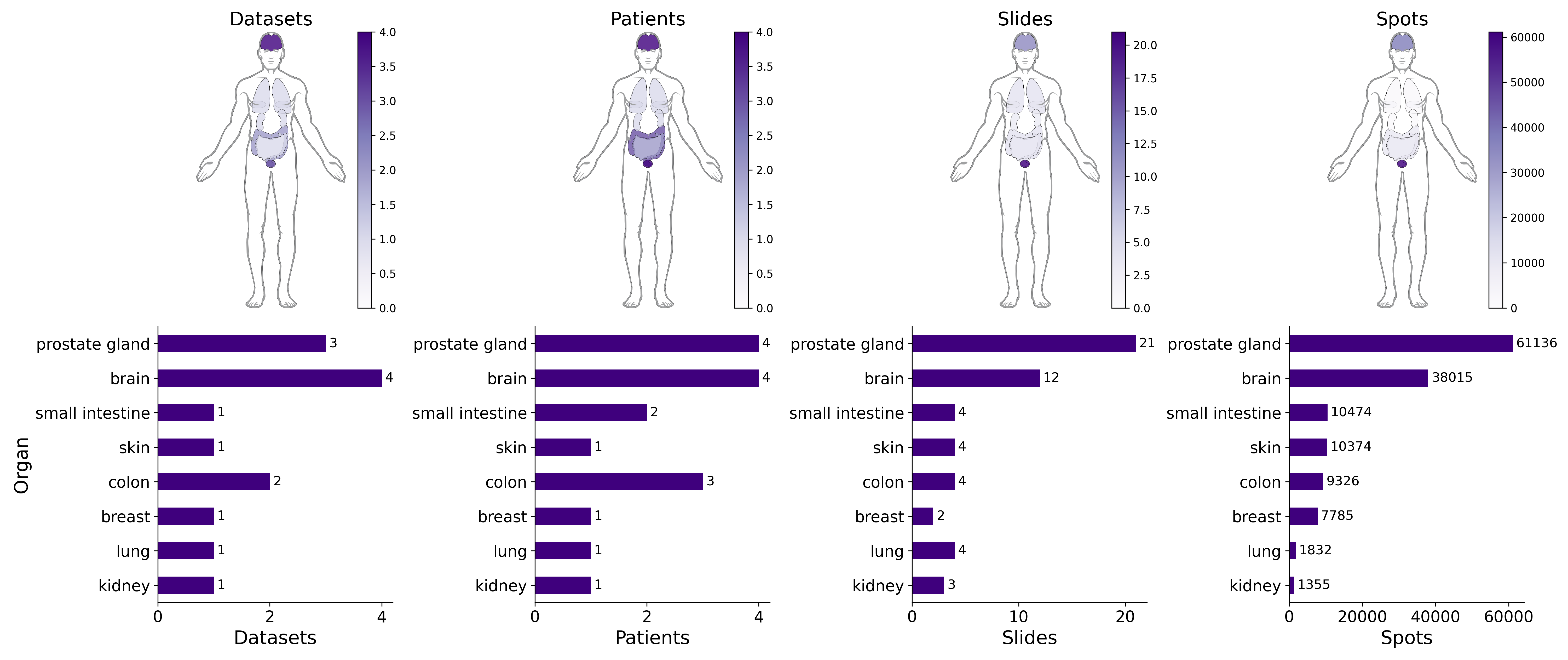 General SpaRED statistics in Human Data