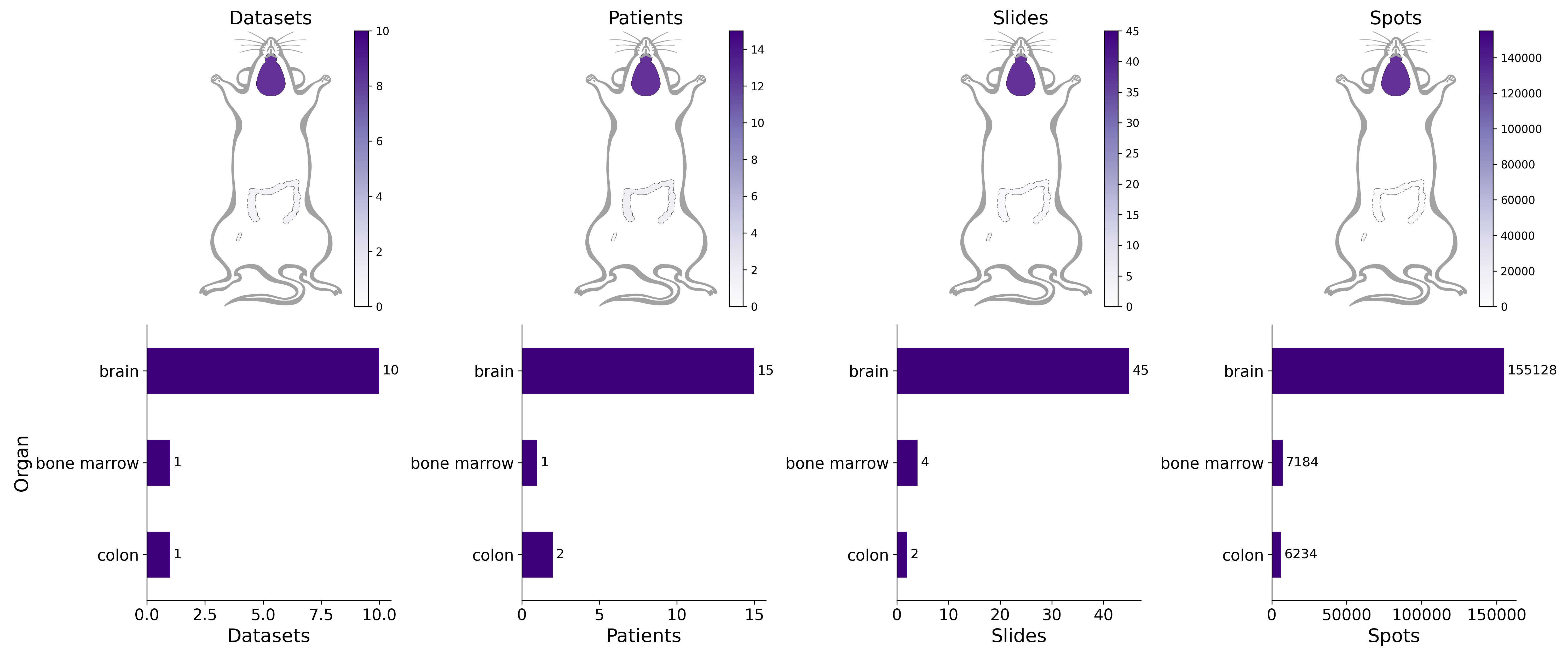 General SpaRED statistics in Mouse Data